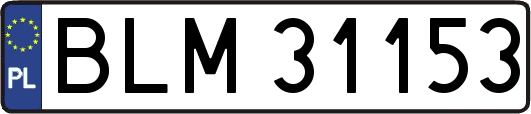 BLM31153