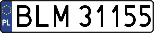 BLM31155