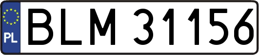 BLM31156