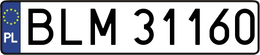BLM31160