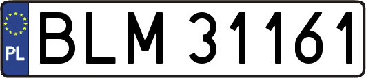 BLM31161