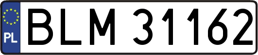 BLM31162