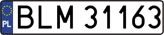 BLM31163