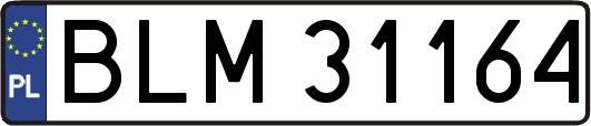 BLM31164