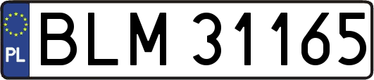 BLM31165