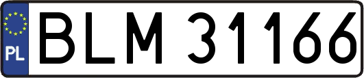 BLM31166