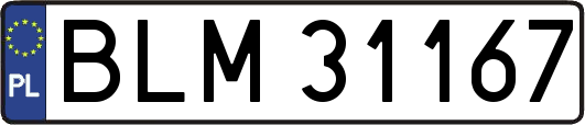 BLM31167