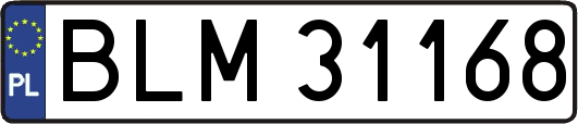 BLM31168