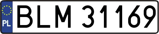 BLM31169