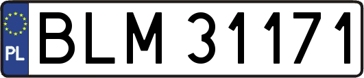 BLM31171