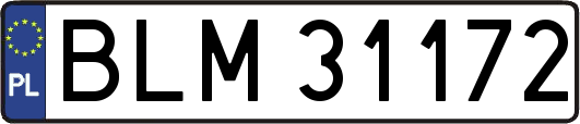 BLM31172