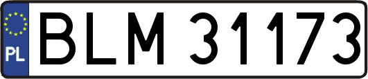 BLM31173
