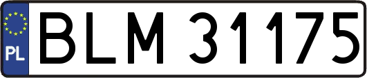 BLM31175