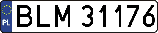 BLM31176