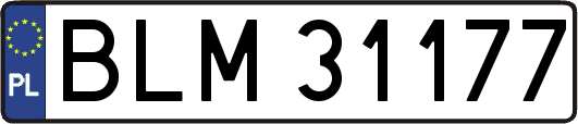 BLM31177