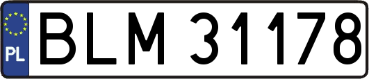 BLM31178