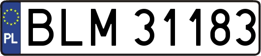 BLM31183