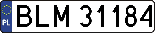BLM31184