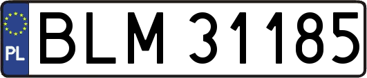 BLM31185
