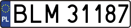 BLM31187