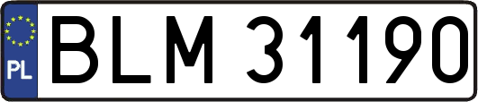 BLM31190
