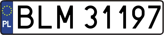 BLM31197