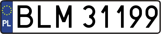 BLM31199