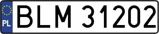 BLM31202