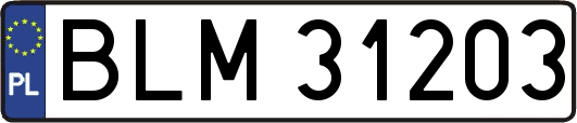 BLM31203