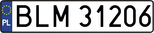 BLM31206