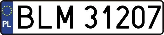 BLM31207