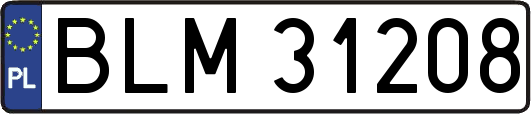 BLM31208