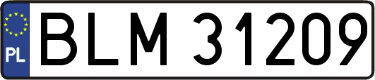BLM31209