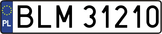 BLM31210