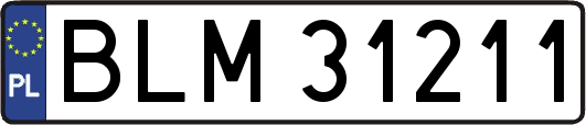 BLM31211