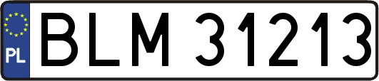 BLM31213