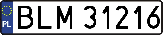 BLM31216