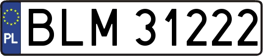 BLM31222