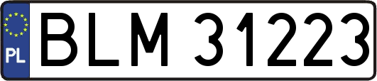 BLM31223