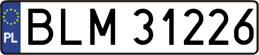 BLM31226