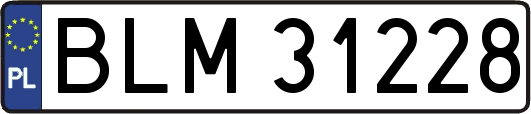 BLM31228