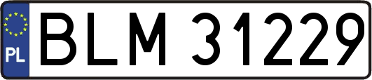 BLM31229