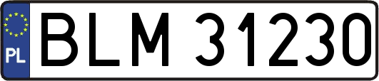BLM31230