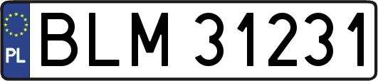 BLM31231