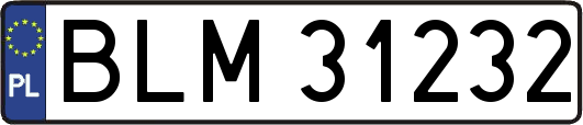 BLM31232