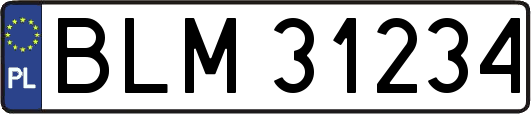 BLM31234