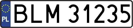 BLM31235