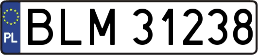 BLM31238