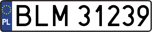 BLM31239