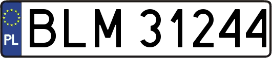 BLM31244